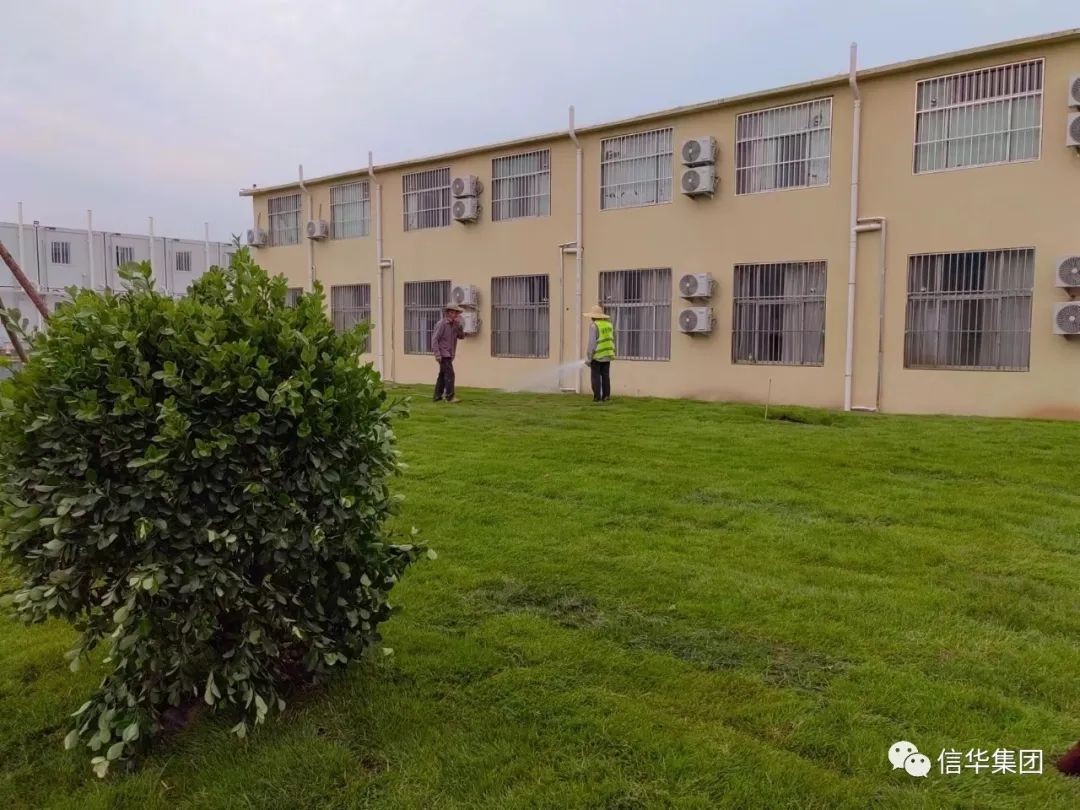 远景市政公司顺利完成方舱隔离点园林绿化项目建设