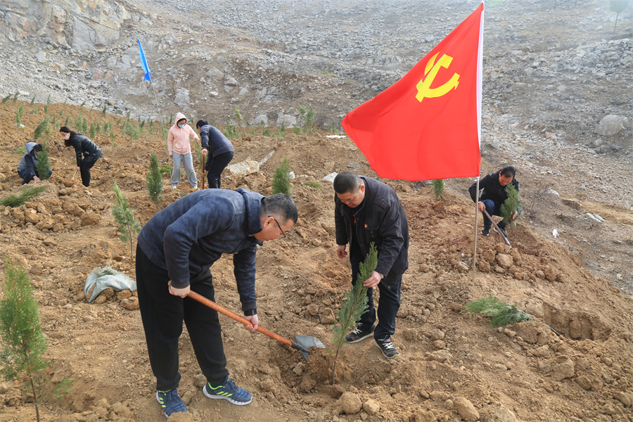 中远公司植树 (1).jpg