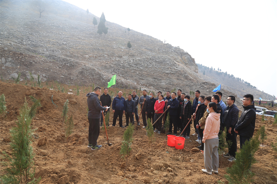 中远公司植树 (3).jpg